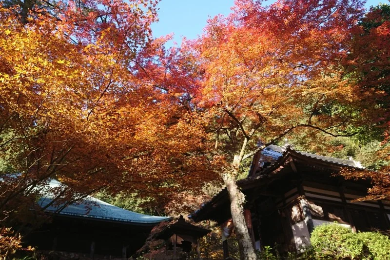 西山興隆寺